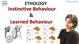 #Instinctive/innate behaviour and learned behaviour   #ethology #animal behaviour