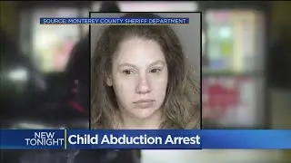 Sacramento Woman Arrested in Carmel for Child Abduction