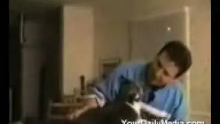 Говорящие кошки 