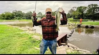 Fishing Before Hurricane Milton ( Catch*Clean*Cook )