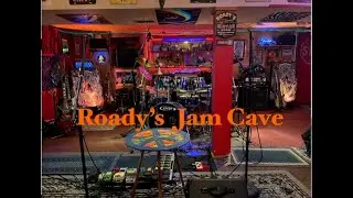 Pleas - Widespread Panic - cover '25