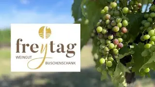 Weingut Freytag Obernalb Retz