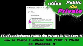 How to change a network from public to private on Windows 11