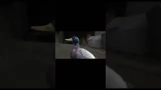 Утка ругается матом на утском языке!!! Шок!!!!