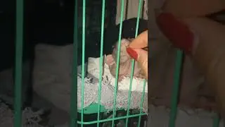 11 июля 2019. Борща для Шара