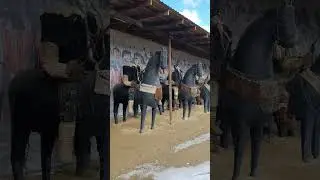 вахта вахтовики работа 