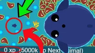 MOPE.IO *MINI* BLUE WHALE vs ALL ANIMALS! TROLLING TAIL BITE KILLS & BEST MOMENTS (Mope.io Gameplay)