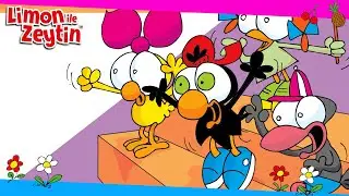 Limon Zeytin Mini 🏕🥾 Limon ve Zeytin Kampta 🎉🥳 - Çocuklar İçin Çizgi Film