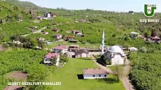 ULUBEY TV KUŞBAKIŞI GÜZELYURT MAHALLESİ