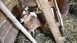Пока так гуляем