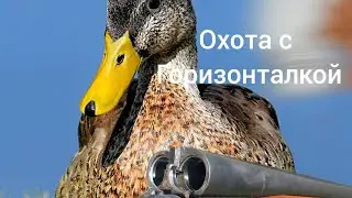 охота на утку с горизонталкой 2022/иж 58 тоз 34