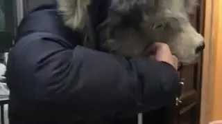 Kelakuan ali jailin kakanya wkwkkw
