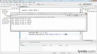 4 7  Working with boolean values
