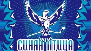 ХК Пингвины 2006 - ХК Синяя Птица 2006 (3-й период)