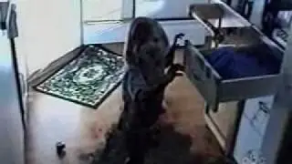 סרט אימה להורים