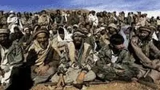 Сирия болашаксыз курбандык