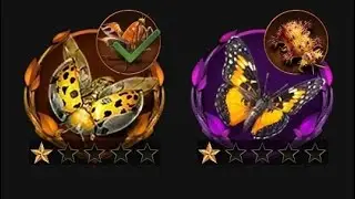 NEW! helper buddies
