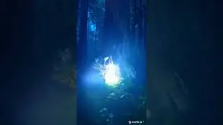 Strange encounter!
