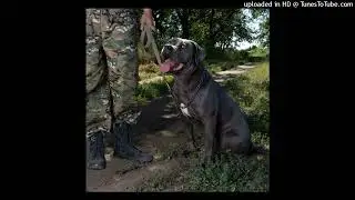 feofilov - отберу (слив трека)