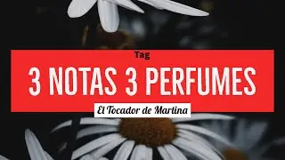 TAG 3 NOTES 3 PERFUMES