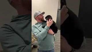 Wait, did someone say puppies?