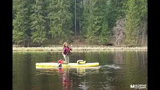 SUP тур по реке Оредеж
