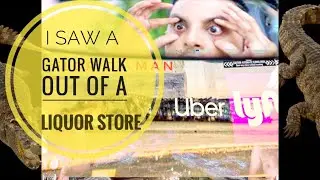 I saw a GATOR walk out of a Liquor Store - Uber & Lyft Crazy Rideshare Stories