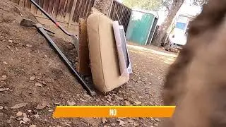 my guns