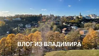 ВЛОГ ИЗ ВЛАДИМИРА: осенние прогулки, попытки читать, сувениры