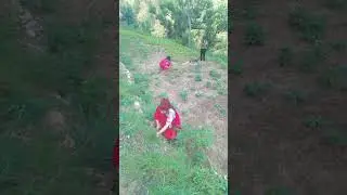 #garhwalisong #youtubeshorts #garhwali #ytshort