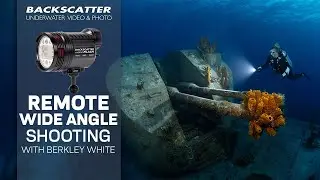 Remote WIde Angle Underwater Photography Lighting With The Backscatter Hybrid Flash