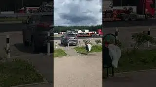 Поездка в Абхазию