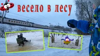 о том как Марк в лес ходил