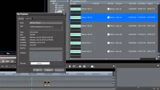 10. Importing Media from CDs and DVDs (Easy Editing with EDIUS)