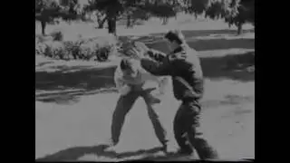 Fighting Scenes, Stunts, Acrobatics - Action Team Varna
