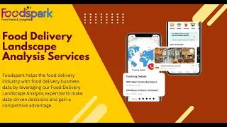 Food Delivery Analytics Solutions