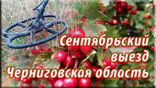 Второй выезд на коп за сезон. 2х Квазар F3 и Фортуна М3.