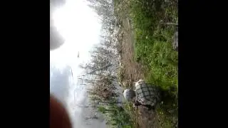 Рыбалка с михалычем видео