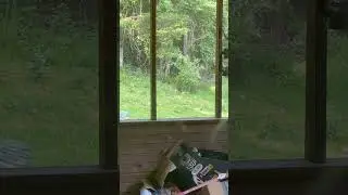 Bird Digging Through Trash
