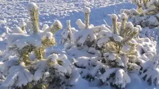 A small collection of my fine scenery pictures! Part 2 (winter)