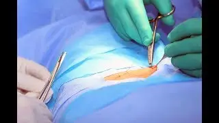 The Apprentice Doctor® Suturing Course