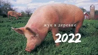 Отдых в деревне 2022