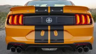 Team Nutz Offers:   Katzkin Leather Mustang