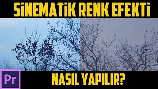 Sinematik Renk Efekti Nasıl Yapılır? (Adobe Premiere Pro Dersleri)