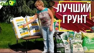 Какой грунт выбрать ✔️ Правильный грунт 🔥 Garden zoo интернет-магазин🔥