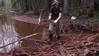Cop in the woods. Alexander (restorer). Video #10