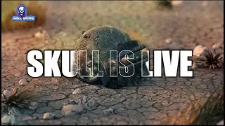 I Am Back l Bgmi Live l Pubg Mobile Live