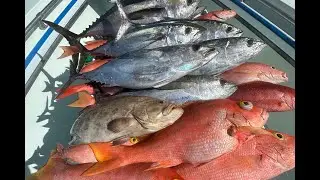 Pesca De Atun , Pargo , Mero , y Mas