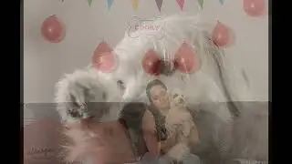 Alcasqui Fotografía de Mascotas