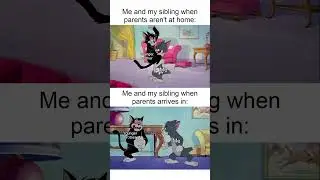 Siblings Memes 6 